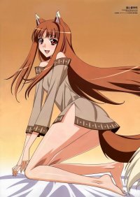 BUY NEW spice and wolf - 167251 Premium Anime Print Poster